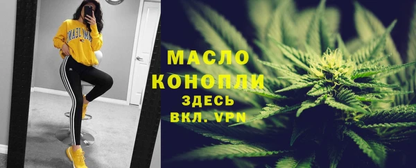 молекула духа Богородск