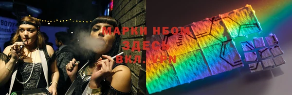 прущие грибы Богородицк