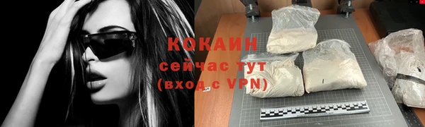 прущие грибы Богородицк