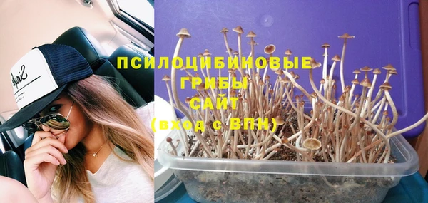 mdpv Богданович