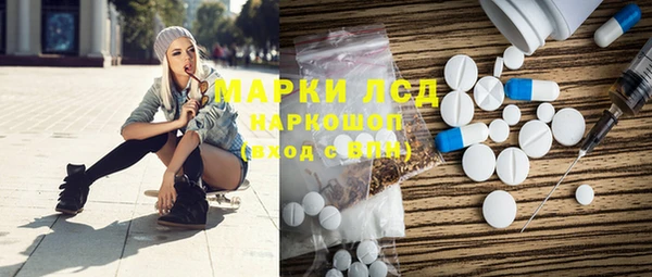 прущие грибы Богородицк