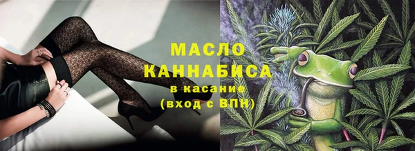 молекула духа Богородск
