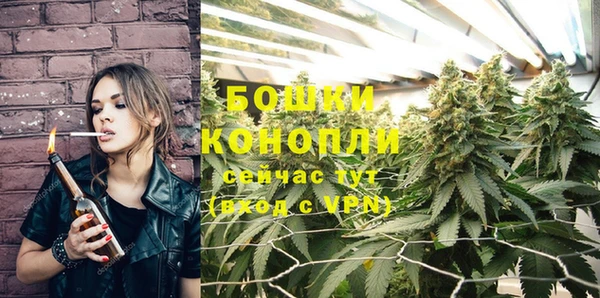 прущие грибы Богородицк