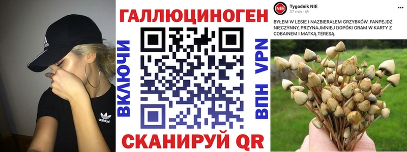 Галлюциногенные грибы мицелий  Комсомольск 