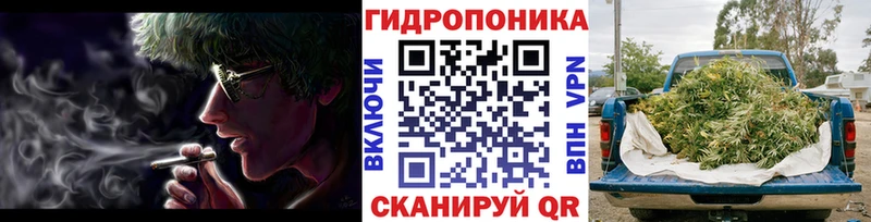 Конопля семена  купить закладку  Комсомольск 